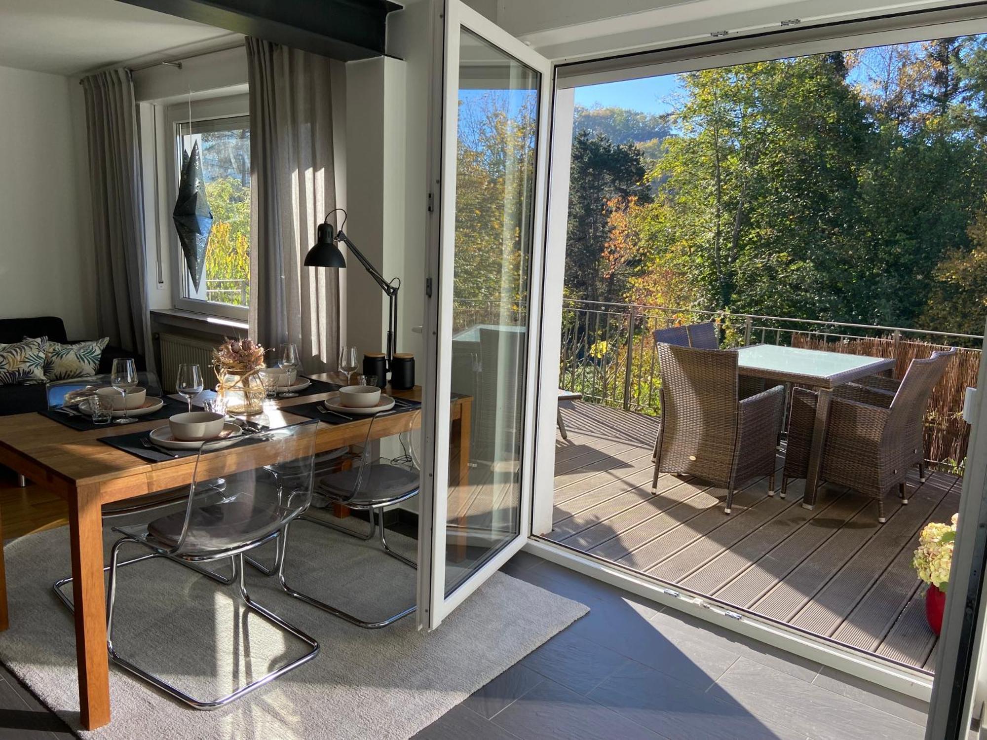 Apartment Schoene 90qm Mit Sonnenterrasse Und Aussicht Trier